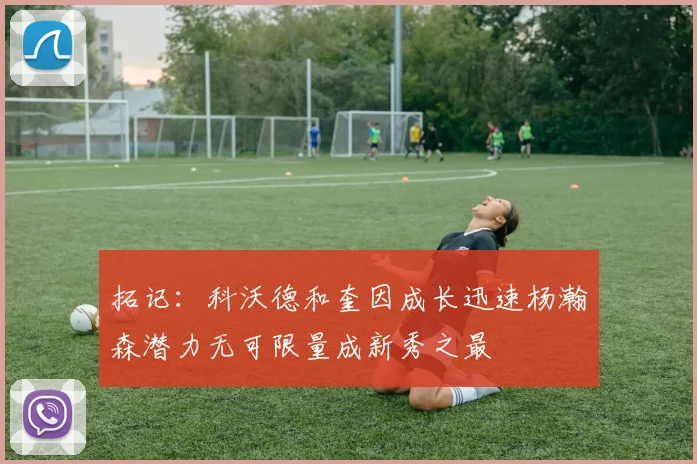 拓记：科沃德和奎因成长迅速杨瀚森潜力无可限量成新秀之最