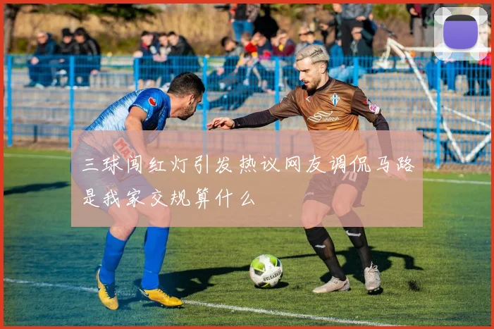 三球闯红灯引发热议网友调侃马路是我家交规算什么