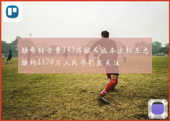 杨希转会费143万欧或成本土标王总额约1170万人民币引发关注